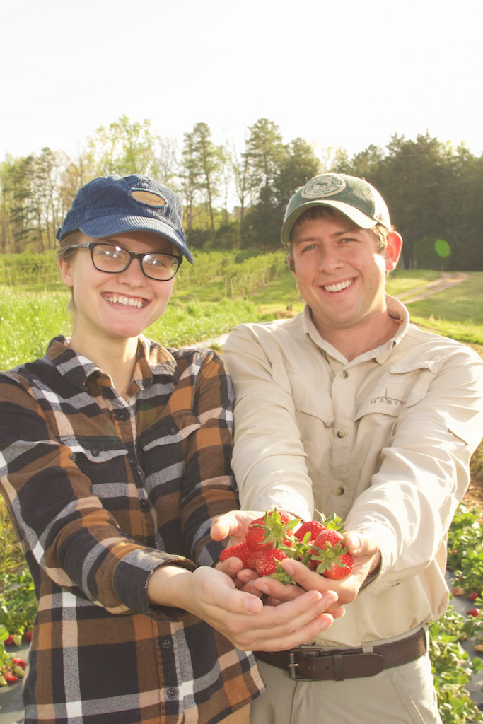 Lineberger Farms